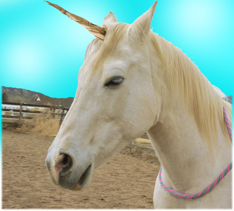 Cookie Swirl C Horses
